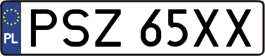PSZ65XX