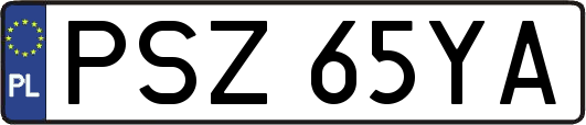 PSZ65YA