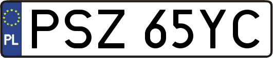 PSZ65YC