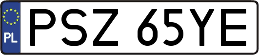 PSZ65YE