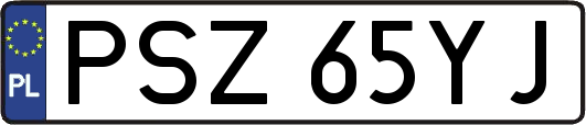 PSZ65YJ