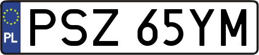 PSZ65YM