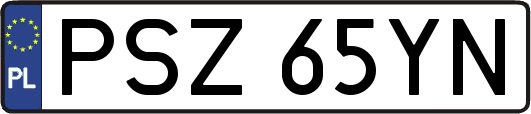 PSZ65YN