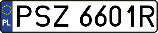 PSZ6601R