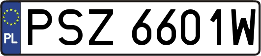 PSZ6601W