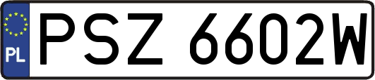 PSZ6602W