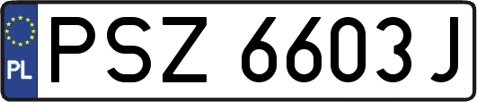 PSZ6603J