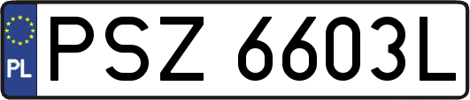 PSZ6603L
