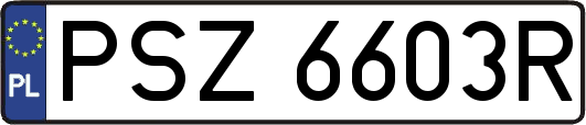 PSZ6603R