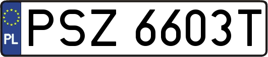 PSZ6603T
