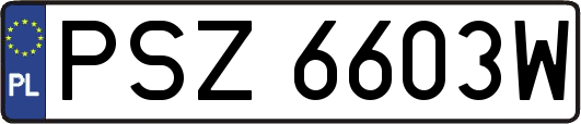 PSZ6603W