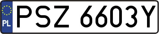PSZ6603Y
