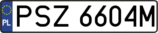 PSZ6604M