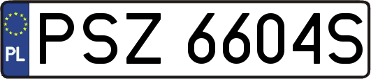 PSZ6604S