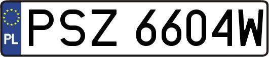 PSZ6604W