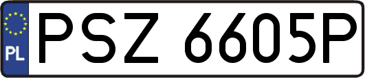 PSZ6605P