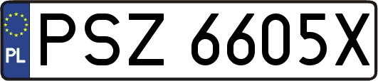 PSZ6605X
