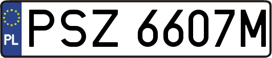PSZ6607M
