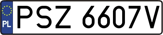 PSZ6607V