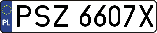 PSZ6607X