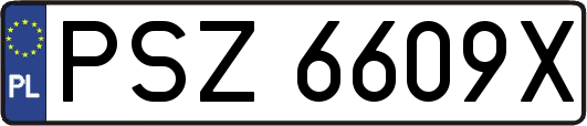 PSZ6609X