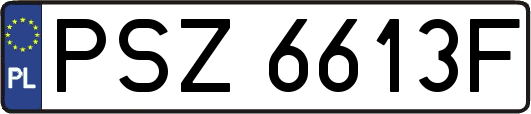 PSZ6613F