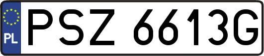 PSZ6613G