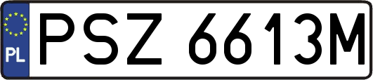 PSZ6613M