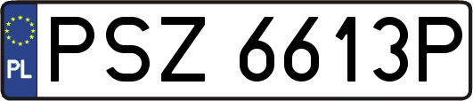 PSZ6613P