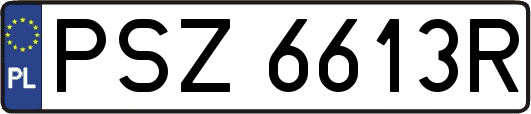 PSZ6613R