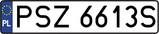 PSZ6613S