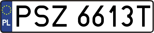 PSZ6613T