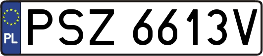PSZ6613V