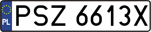 PSZ6613X