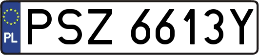 PSZ6613Y