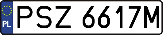 PSZ6617M