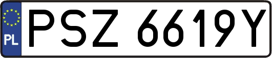 PSZ6619Y