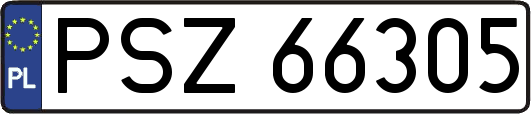 PSZ66305