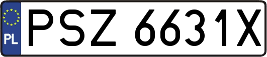 PSZ6631X