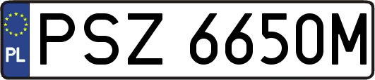 PSZ6650M