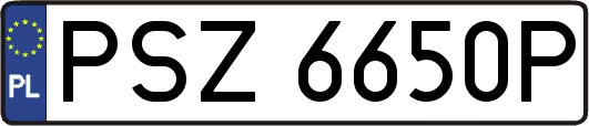 PSZ6650P