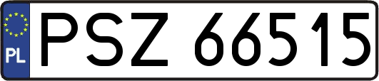 PSZ66515