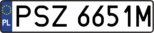PSZ6651M