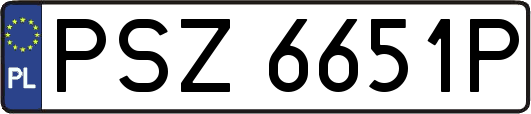 PSZ6651P