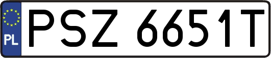 PSZ6651T