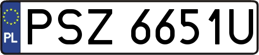 PSZ6651U