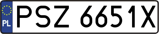 PSZ6651X