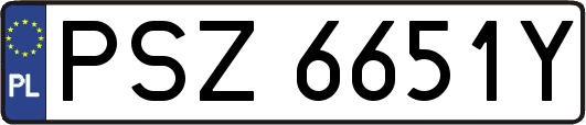 PSZ6651Y