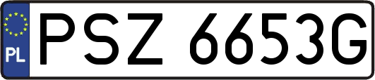 PSZ6653G
