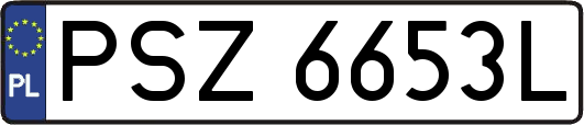 PSZ6653L